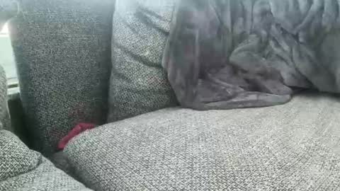 Snapshot of longjohnson94435702 chatting on 03/02/25, 07:54 longjohnson94435702 online show from 03/02/25, 07:54