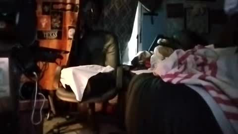 Mr. FogoDeChao online show from 03/05/26, 05:31