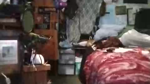 Mr. FogoDeChao online show from 03/06/26, 05:42