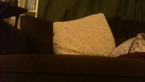 longlorne online show from 02/12/26, 05:13