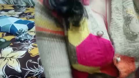 Shy Housewife online show from 12/16/25, 05:29