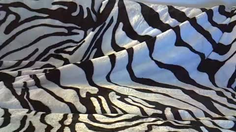 look_at_me_babe online show from 01/26/25, 11:08