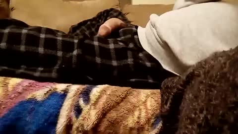 Snapshot of looking4bush chatting on 12/03/24, 07:21 looking4bush online show from 12/03/24, 07:21