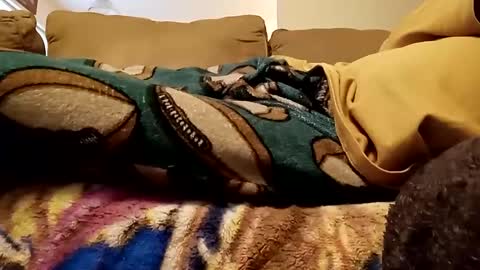 Snapshot of looking4bush chatting on 12/15/24, 08:04 looking4bush online show from 12/15/24, 08:04