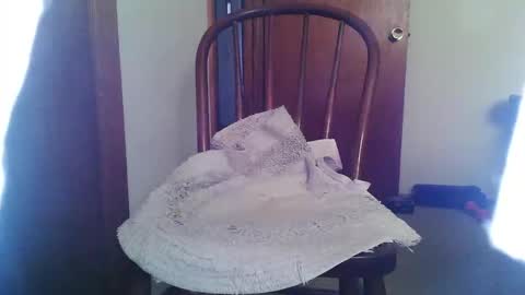 lookingforcougars500 online show from 11/01/25, 05:59