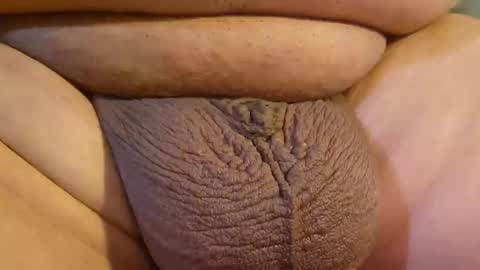 2791 3D online show from 04/14/26, 10:27