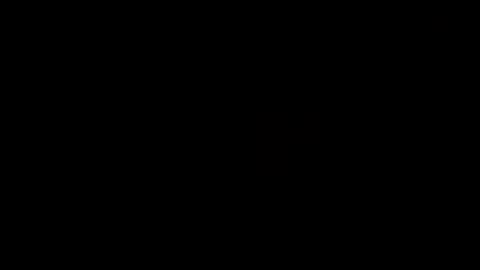 Lora online show from 01/31/25, 04:38