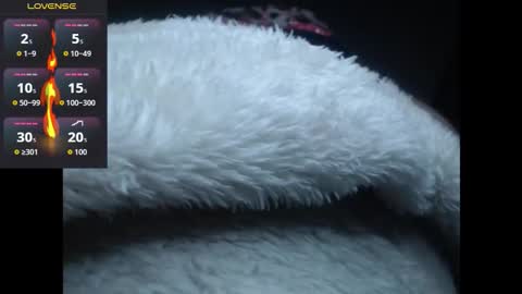 Snapshot of lorenitha_20 chatting on 10/27/25, 02:59 lorenitha online show from 10/27/25, 02:59