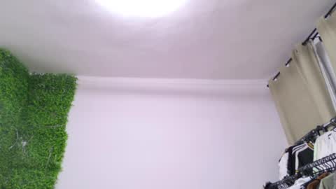 Amelia online show from 02/22/25, 10:52