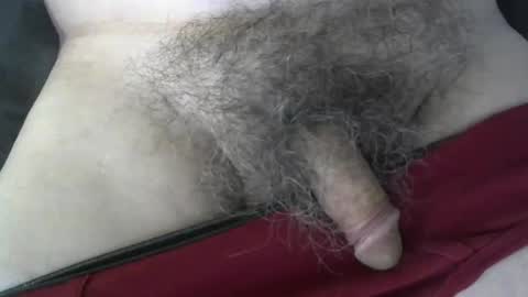 loveabush49 online show from 09/26/25, 08:57