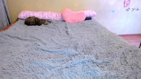 Snapshot of loveboys1993 chatting on 01/01/25, 05:22 cat-girl online show from 01/01/25, 05:22