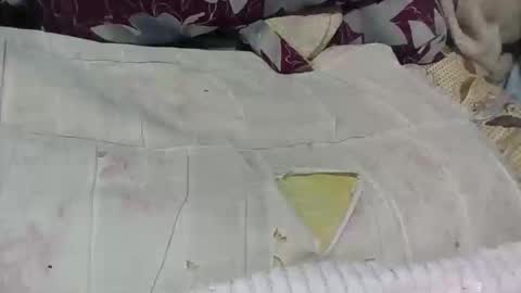 loveinlife750427 online show from 04/15/26, 02:46