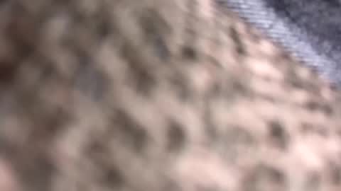 getnaked123 online show from 06/09/26, 01:50
