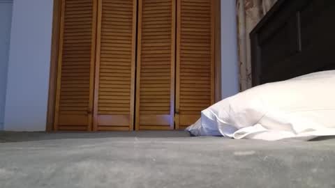 Amber online show from 01/07/26, 02:58