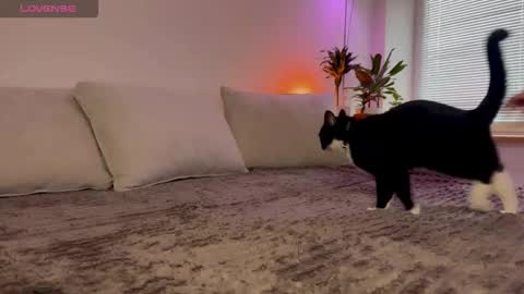 Elsa online show from 10/23/25, 06:34