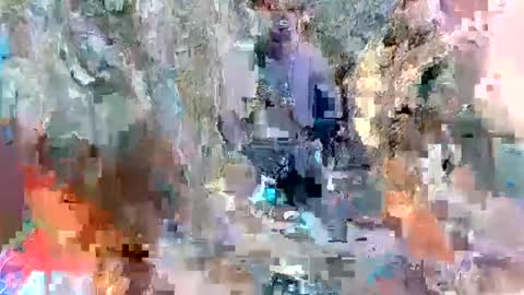 alexa alice jane daisy online show from 03/08/25, 02:19