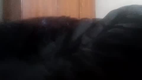 katrina follow me guys online show from 01/01/25, 04:07