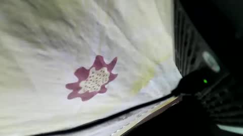 lovelypinay2 online show from 02/05/25, 03:34