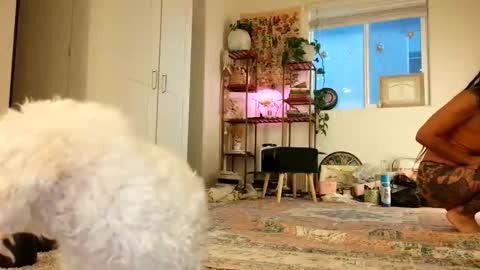 lovelyxmacii online show from 05/08/26, 02:39