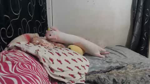 loveme114 online show from 03/30/26, 12:33