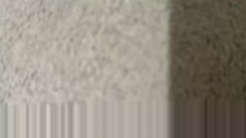 lovepan69 online show from 03/25/26, 02:28