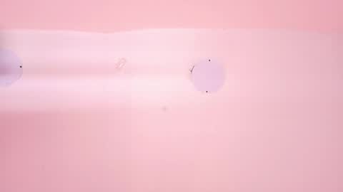 L O V E  online show from 03/12/26, 11:38