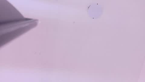 L O V E  online show from 03/17/26, 11:35