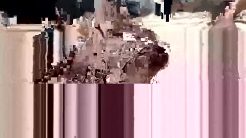 Snapshot of loverboy000017 chatting on 03/11/25, 01:05 loverboy000017 online show from 03/11/25, 01:05