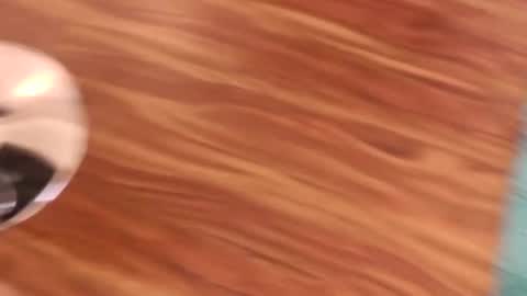 lovingcouple1969 online show from 02/07/26, 02:21