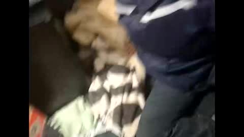 Lshot D online show from 11/28/25, 08:00