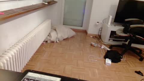 lu25humiliation online show from 01/10/25, 04:51