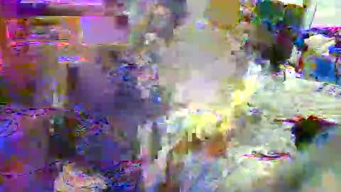 lu25humiliation online show from 10/21/25, 06:52