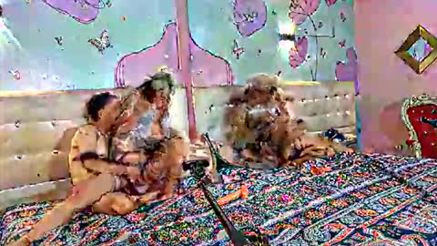 Snapshot of lu_pink chatting on 10/04/25, 02:37 lu_pink online show from 10/04/25, 02:37