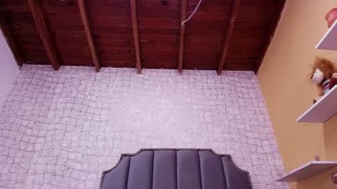 Lucero W online show from 01/28/25, 10:23