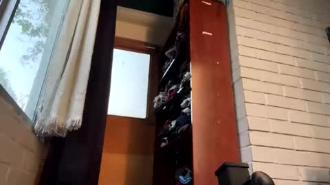 Felipe online show from 12/22/24, 11:52