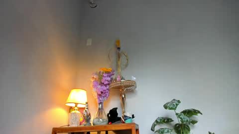 Pirulo online show from 04/22/26, 02:18