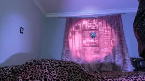 Luciana Evans online show from 11/19/25, 03:23