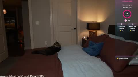 Lucid Lu online show from 10/15/25, 12:00