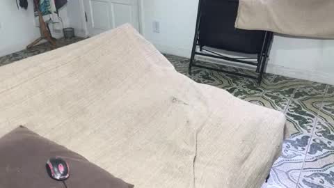 lucifer_curious online show from 01/05/26, 08:45