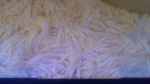 Snapshot of luckmoneylove1012 chatting on 09/20/25, 05:14 prettybaby1012 online show from 09/20/25, 05:14