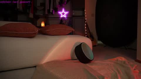 Snapshot of lucy_gooosey chatting on 01/13/25, 04:07 Lucy. online show from 01/13/25, 04:07