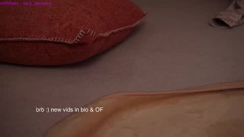 Snapshot of lucy_gooosey chatting on 01/28/25, 06:27 Lucy. online show from 01/28/25, 06:27