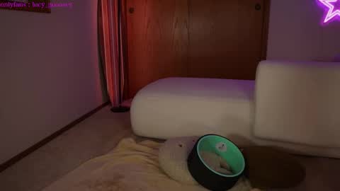 Snapshot of lucy_gooosey chatting on 02/03/25, 04:57 Lucy. online show from 02/03/25, 04:57