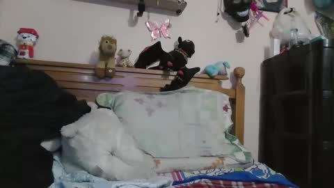 luismiastarot online show from 10/28/25, 01:53