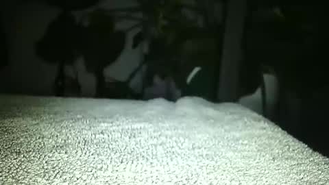 Luke online show from 04/17/26, 01:19