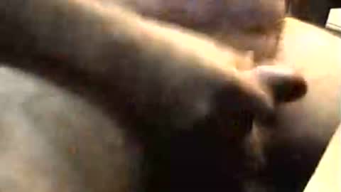 lukestarfckr online show from 11/02/25, 09:22