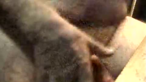 lukestarfckr online show from 11/10/25, 09:19