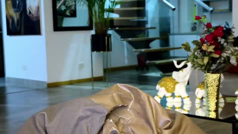 Lukhas f4f online show from 01/20/25, 03:48