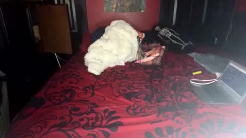 Snapshot of lulu_only_fans chatting on 02/14/25, 04:09 Lulu online show from 02/14/25, 04:09