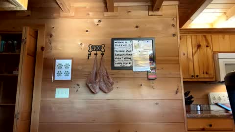 Snapshot of lulupixxx chatting on 01/02/25, 03:19 Connie online show from 01/02/25, 03:19